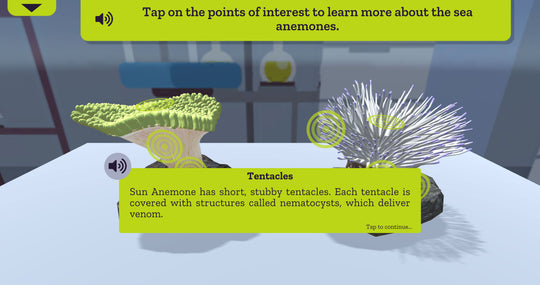 Venom CoLab - Sea Anemone